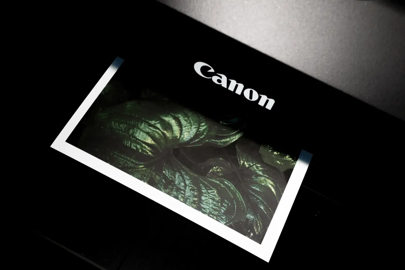 Printer printing a picture on a page